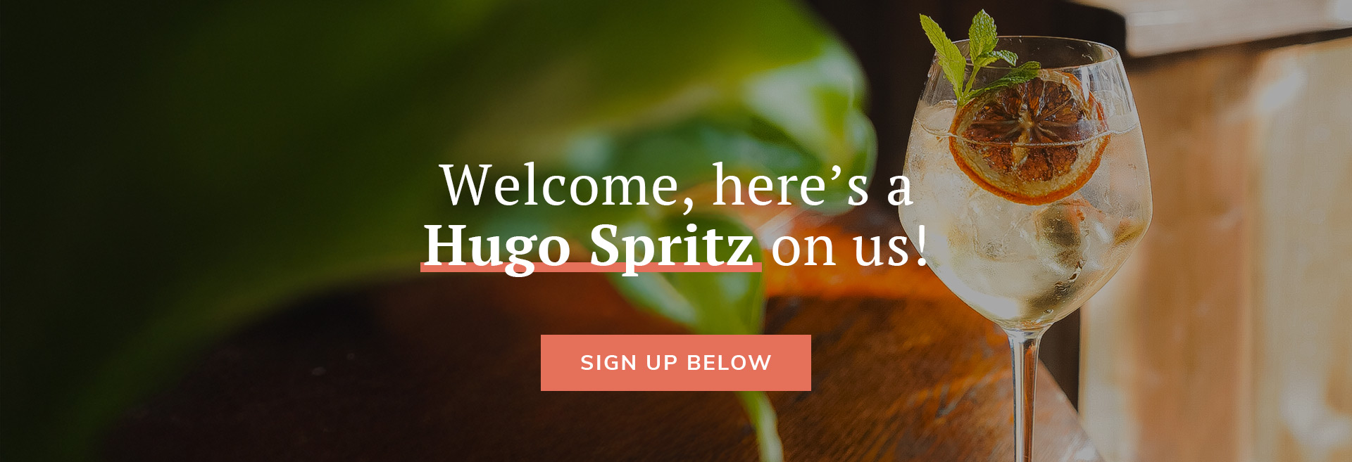 Sign up to the newsletter at TOOTING TAVERN